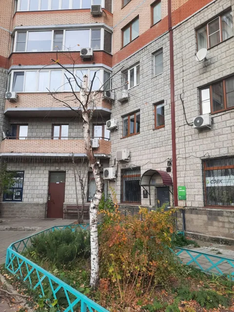 Автор публикации сообщает о сильной обрезке деревьев в Долгопрудном. — фото 3