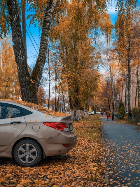 Осень в Сергиевом Посаде — фото 10