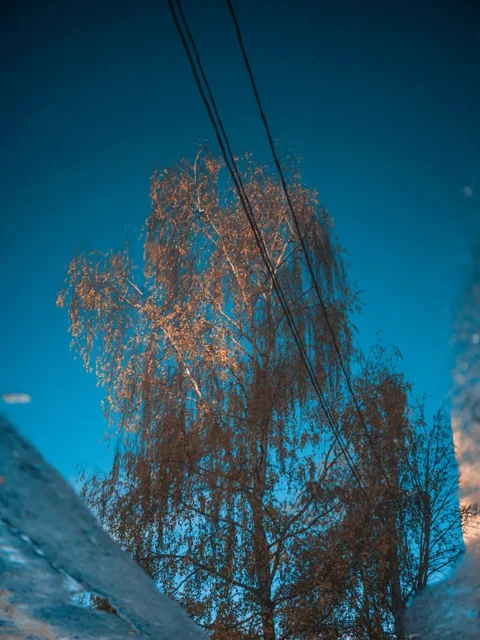 Осень в Сергиевом Посаде — фото 4